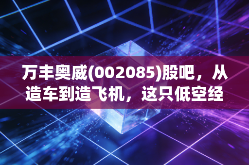 万丰奥威(002085)股吧，从造车到造飞机，这只低空经济龙头究竟是风口上的猪还是真正的千里马？