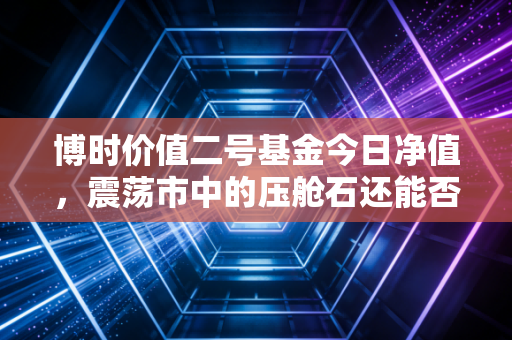 博时价值二号基金今日净值,震荡市中的压舱石还能否稳住你的钱袋子?