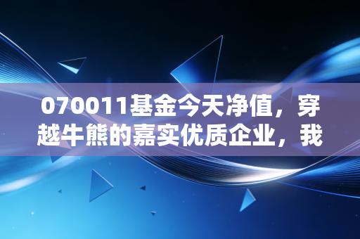 070011基金今天净值，穿越牛熊的嘉实优质企业，我们该如何守住这份优质？