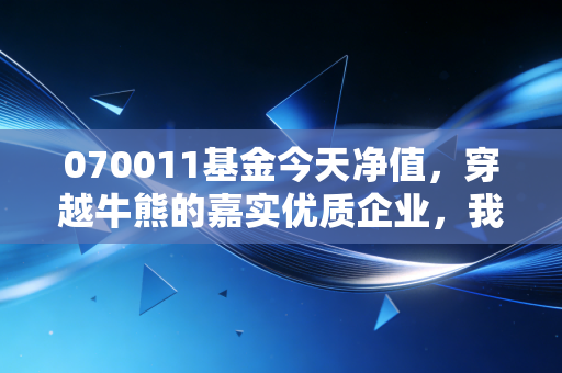 070011基金今天净值，穿越牛熊的嘉实优质企业，我们该如何守住这份优质？