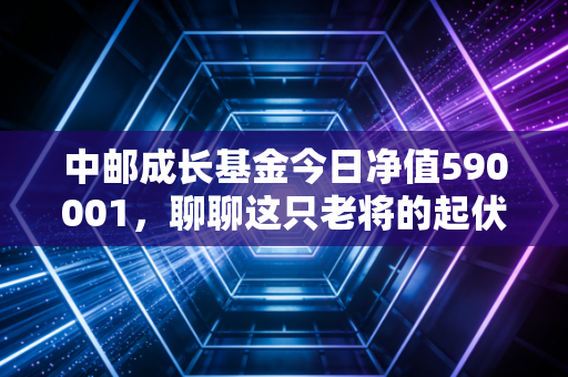 中邮成长基金今日净值590001，聊聊这只老将的起伏与我们在波动中的生存法则