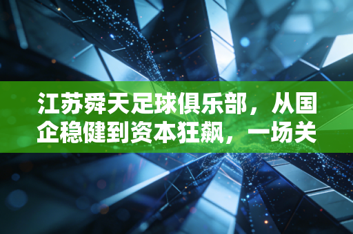 江苏舜天足球俱乐部，从国企稳健到资本狂飙，一场关于金钱与梦想的残酷财经课
