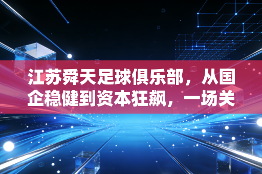 江苏舜天足球俱乐部，从国企稳健到资本狂飙，一场关于金钱与梦想的残酷财经课