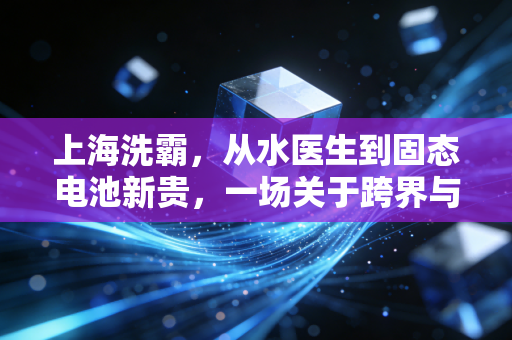 上海洗霸，从水医生到固态电池新贵，一场关于跨界与生存的豪赌