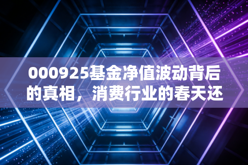000925基金净值波动背后的真相,消费行业的春天还会远吗?