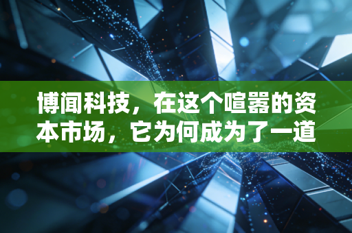 博闻科技,在这个喧嚣的资本市场,它为何成为了一道独特的静默风景?