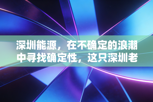 深圳能源,在不确定的浪潮中寻找确定性,这只深圳老字号还能打吗?