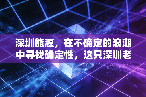 深圳能源,在不确定的浪潮中寻找确定性,这只深圳老字号还能打吗?