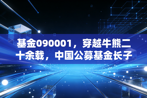 基金090001,穿越牛熊二十余载,中国公募基金长子的悲欢与启示