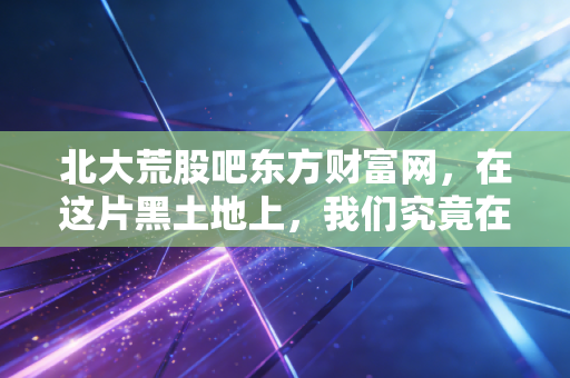 北大荒股吧东方财富网,在这片黑土地上,我们究竟在收割什么?