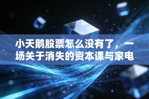 小天鹅股票怎么没有了,一场关于消失的资本课与家电巨头的棋局