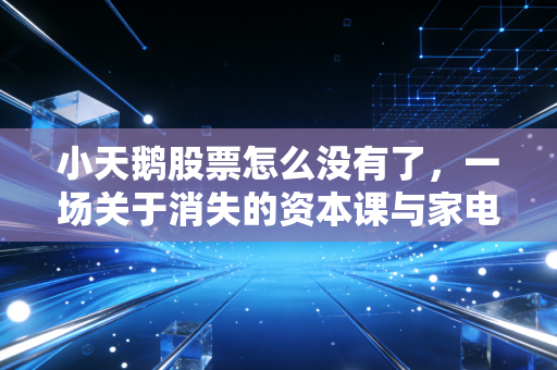 小天鹅股票怎么没有了,一场关于消失的资本课与家电巨头的棋局
