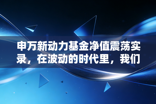 申万新动力基金净值震荡实录，在波动的时代里，我们该如何寻找投资的新动力？