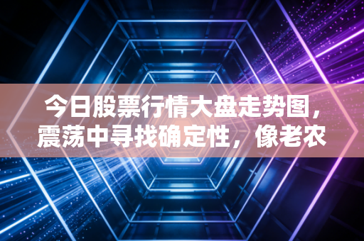 今日股票行情大盘走势图,震荡中寻找确定性,像老农种地一样做投资