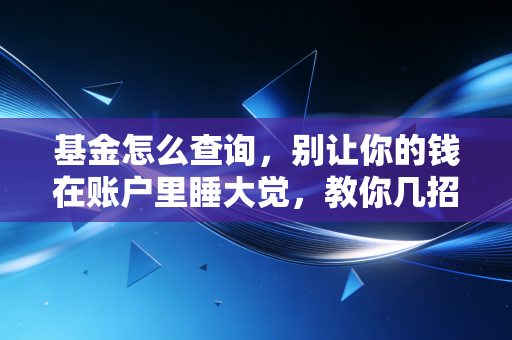 基金怎么查询,别让你的钱在账户里睡大觉,教你几招看透基金底牌