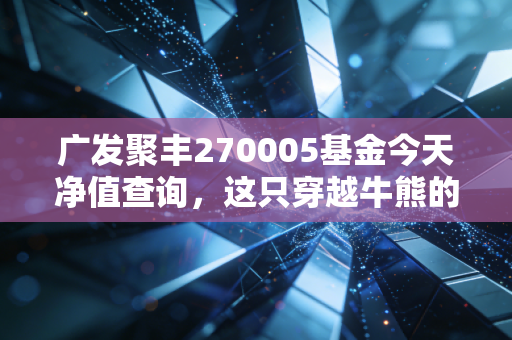 广发聚丰270005基金今天净值查询，这只穿越牛熊的老基，还能帮我们守住财富吗？