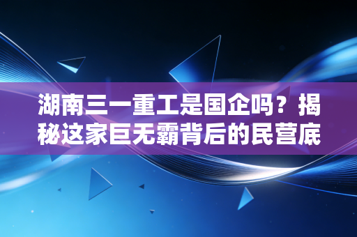 湖南三一重工是国企吗?揭秘这家巨无霸背后的民营底色与江湖地位