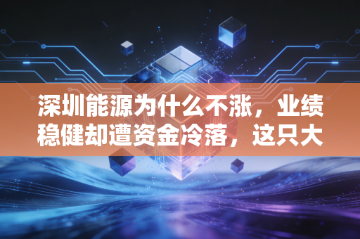 深圳能源为什么不涨,业绩稳健却遭资金冷落,这只大象还能起舞吗?