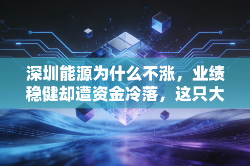 深圳能源为什么不涨,业绩稳健却遭资金冷落,这只大象还能起舞吗?