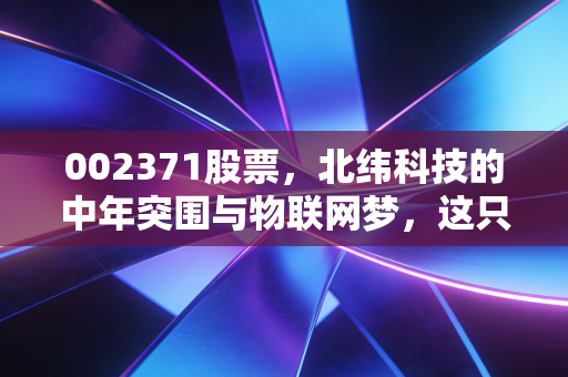 002371股票,北纬科技的中年突围与物联网梦,这只老牌互联网股还有多少想象空间?
