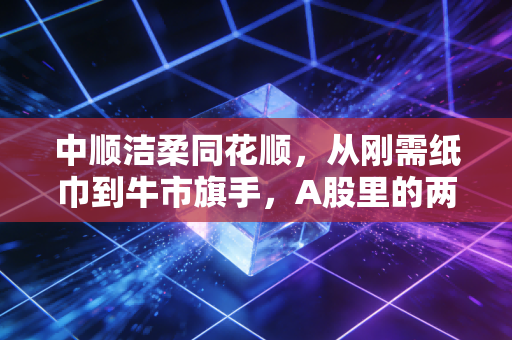 中顺洁柔同花顺,从刚需纸巾到牛市旗手,A股里的两副面孔与我们的财富焦虑