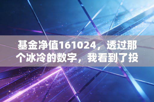 基金净值161024，透过那个冰冷的数字，我看到了投资者最真实的悲欢