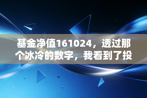 基金净值161024，透过那个冰冷的数字，我看到了投资者最真实的悲欢