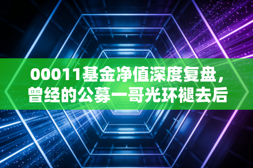 00011基金净值深度复盘,曾经的公募一哥光环褪去后,这只基金还值得守候吗?