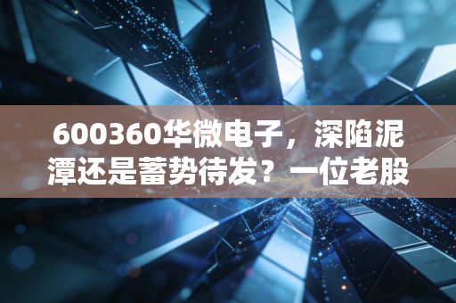 600360华微电子，深陷泥潭还是蓄势待发？一位老股民眼中的半导体困局