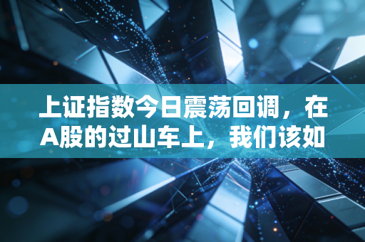 上证指数今日震荡回调,在A股的过山车上,我们该如何系好安全带?