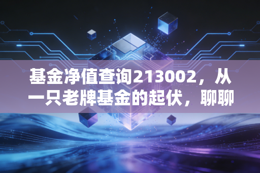 基金净值查询213002,从一只老牌基金的起伏,聊聊我们该如何面对投资中的过山车