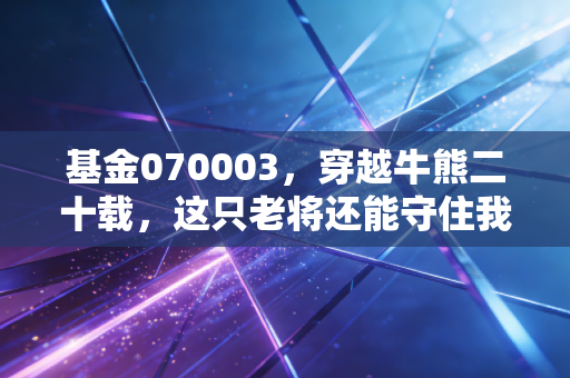 基金070003,穿越牛熊二十载,这只老将还能守住我们的财富初心吗?