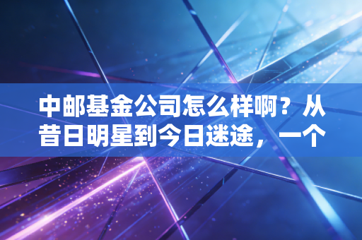 中邮基金公司怎么样啊？从昔日明星到今日迷途，一个老基民眼中的中邮基金沉浮录