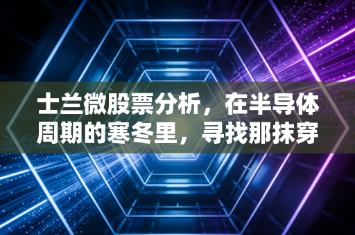 士兰微股票分析,在半导体周期的寒冬里,寻找那抹穿越迷雾的中国芯之光