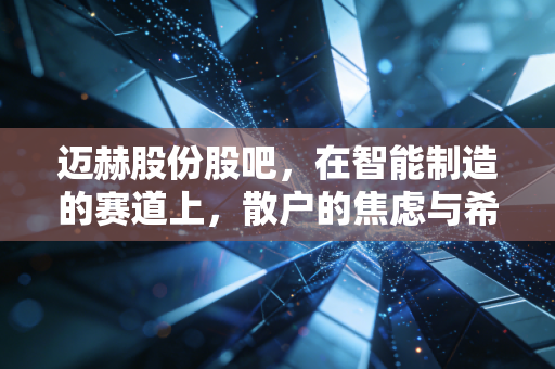 迈赫股份股吧,在智能制造的赛道上,散户的焦虑与希望究竟谁更胜一筹?