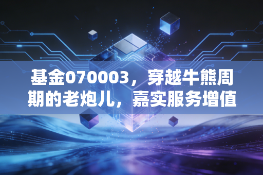 基金070003，穿越牛熊周期的老炮儿，嘉实服务增值还能打吗？