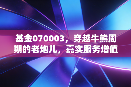 基金070003，穿越牛熊周期的老炮儿，嘉实服务增值还能打吗？