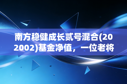 南方稳健成长贰号混合(202002)基金净值，一位老将的起伏，给普通投资者的三点启示