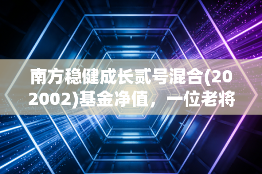 南方稳健成长贰号混合(202002)基金净值，一位老将的起伏，给普通投资者的三点启示