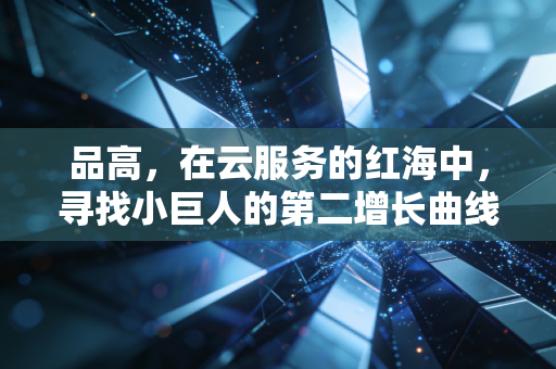 品高，在云服务的红海中，寻找小巨人的第二增长曲线