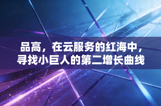 品高，在云服务的红海中，寻找小巨人的第二增长曲线