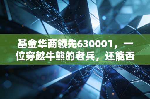 基金华商领先630001，一位穿越牛熊的老兵，还能否成为你钱包里的定海神针？