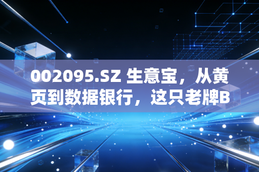 002095.SZ 生意宝，从黄页到数据银行，这只老牌B2B还能讲出什么新故事？