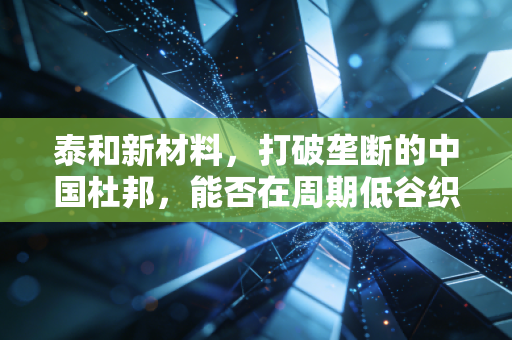 泰和新材料,打破垄断的中国杜邦,能否在周期低谷织出黄金未来?