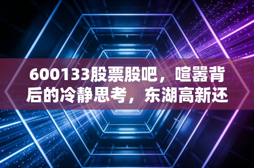 600133股票股吧,喧嚣背后的冷静思考,东湖高新还能不能拿?
