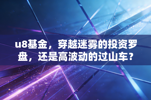 u8基金,穿越迷雾的投资罗盘,还是高波动的过山车?