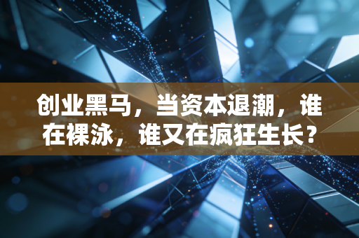 创业黑马,当资本退潮,谁在裸泳,谁又在疯狂生长?
