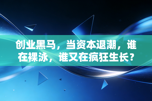 创业黑马,当资本退潮,谁在裸泳,谁又在疯狂生长?