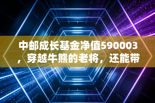 中邮成长基金净值590003,穿越牛熊的老将,还能带我们飞吗?