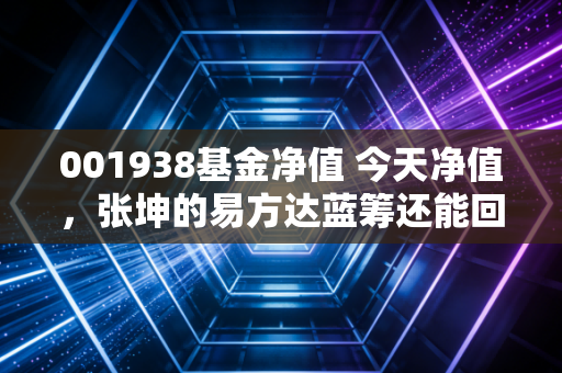 001938基金净值 今天净值,张坤的易方达蓝筹还能回到巅峰吗?深度复盘与投资思考